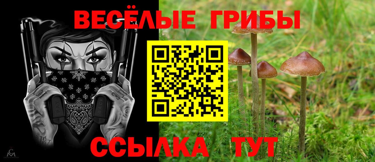 Галлюциногенные грибы Cubensis  Вход с VPN  сколько стоит  Подольск  Псилоцибиновые грибы мухоморы 